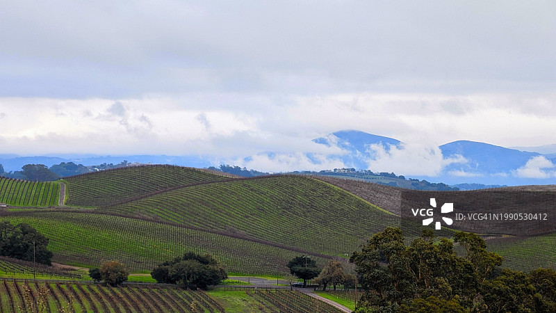 美国加利福尼亚州纳帕的田野风光图片素材