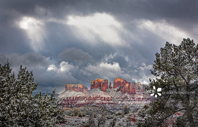 仰视角度拍摄的树木和建筑物图片素材