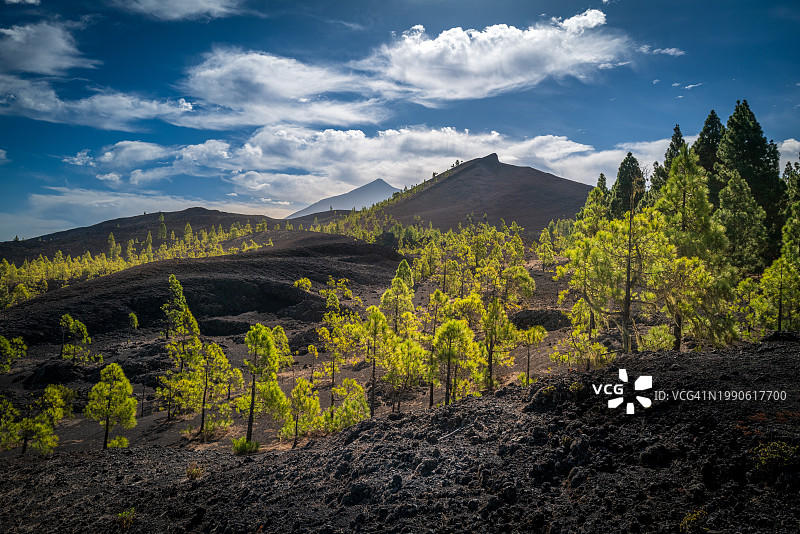 西班牙圣克鲁斯-德特内里费的风景图片素材