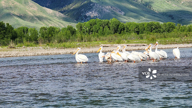 美国怀俄明州莫兰山湖泊的风景图片素材