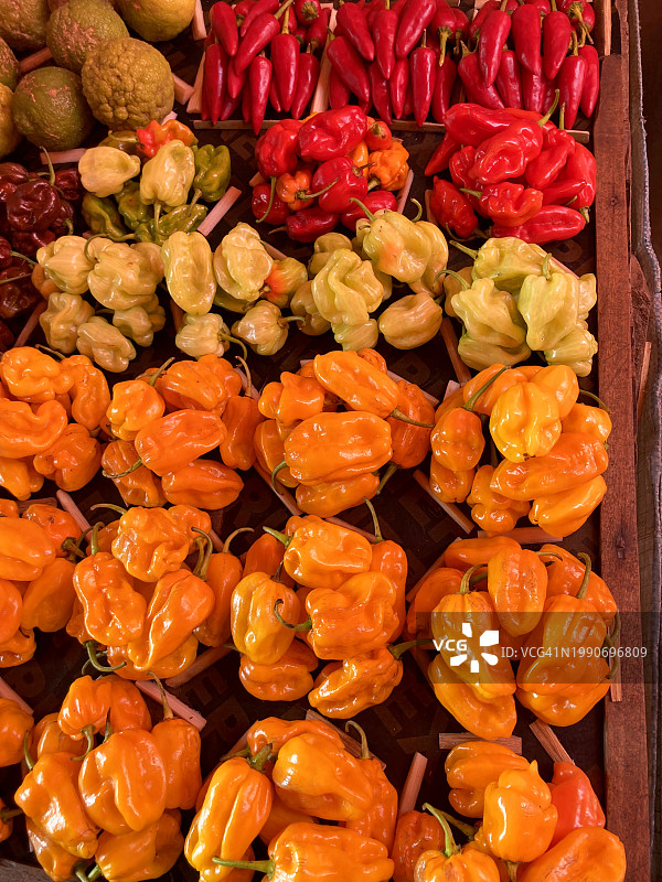 桑给巴尔石头城达拉加尼市场图片素材