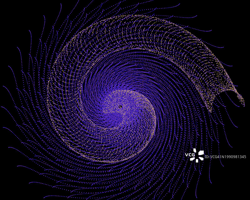 自然主题的贝壳化石线性图案图片素材