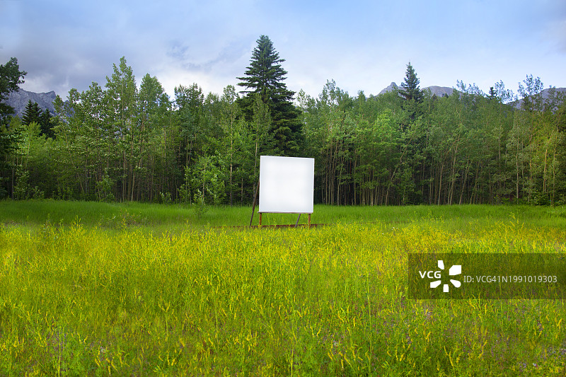 森林中的空白标牌图片素材