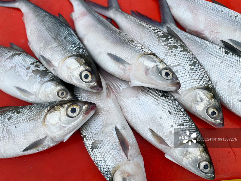 市场上出售的鲜活虱目鱼图片素材