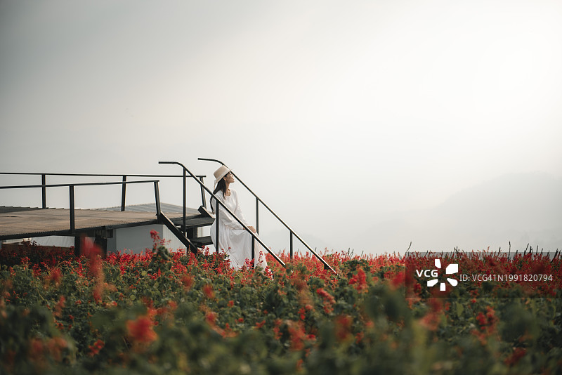 泰国达府蒙莫克塔湾花园和日出前的雾景，身穿白色连衣裙的女游客图片素材