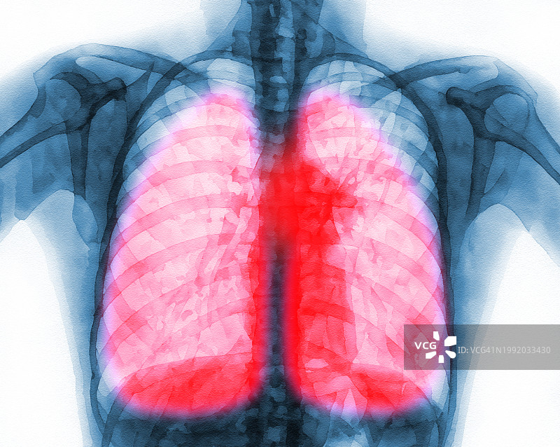 男人躯干02图片素材