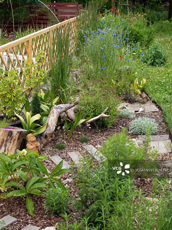 夏季花园观赏植物景观图片素材