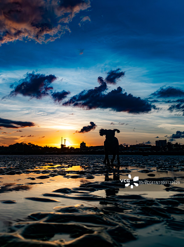 亚马逊河的日落图片素材