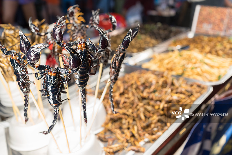 耀华力夜市的蝎子串图片素材