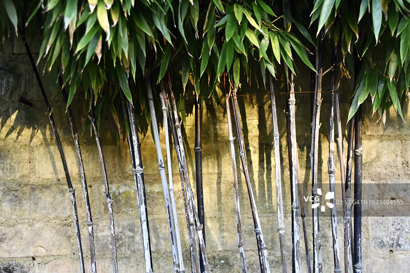 黑色竹子图片素材