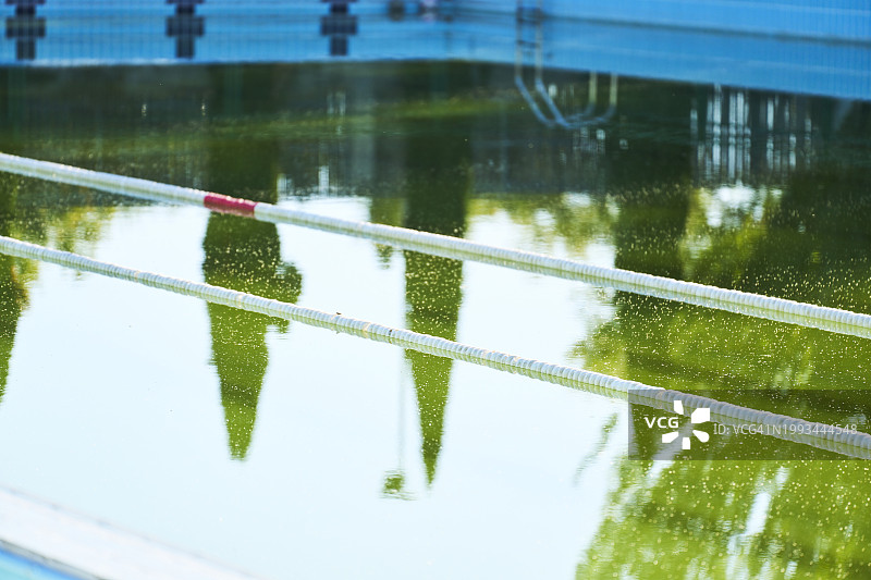 带有白色绳索的游泳池，水是绿色且浑浊的，可以看到树木的倒影图片素材