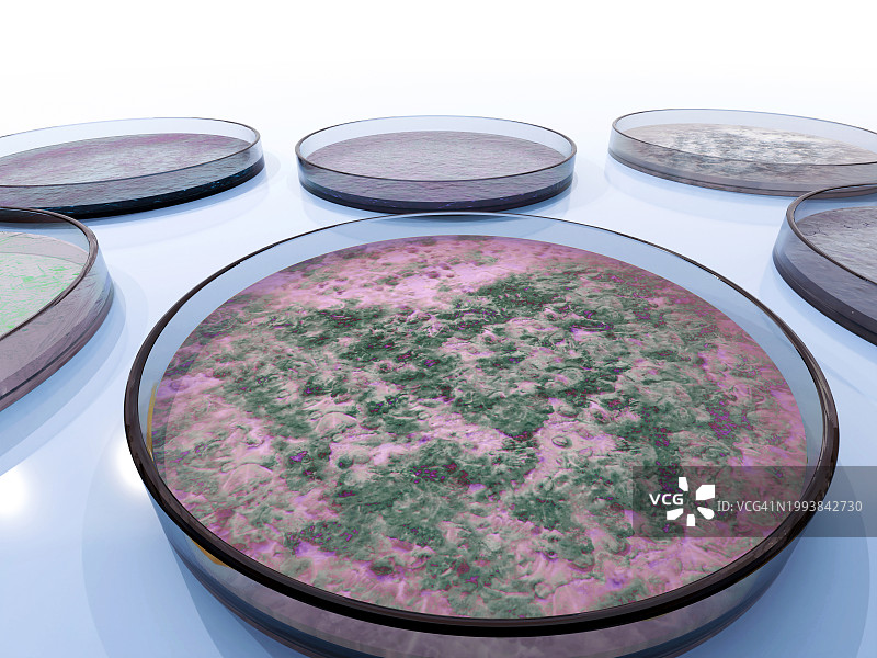 培养皿图片素材