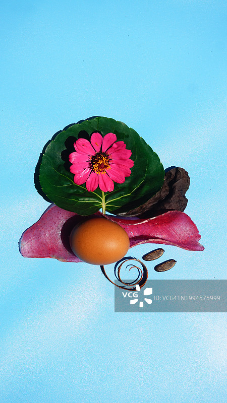 食物摆盘：巧克力棒、薯片和鲜花图片素材