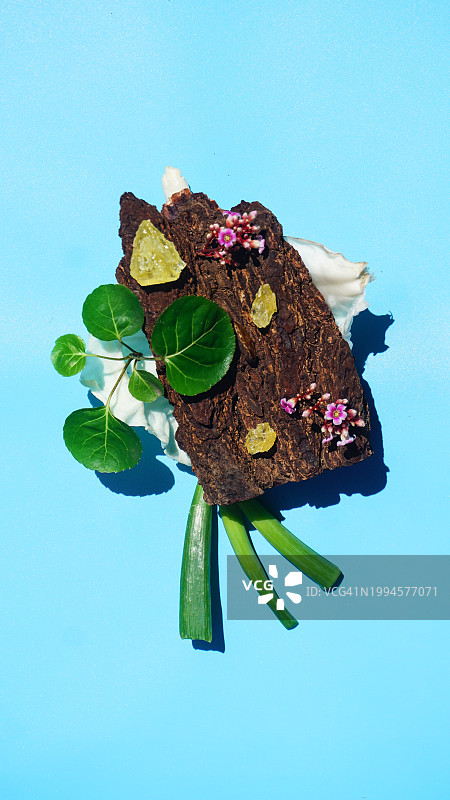 带有圆形叶子花和糖晶的巧克力棒图片素材