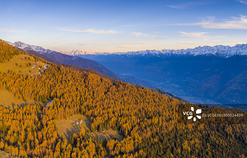 欧洲意大利伦巴第阿尔卑马拉，山谷阴影中，秋日落叶松林全景图片素材
