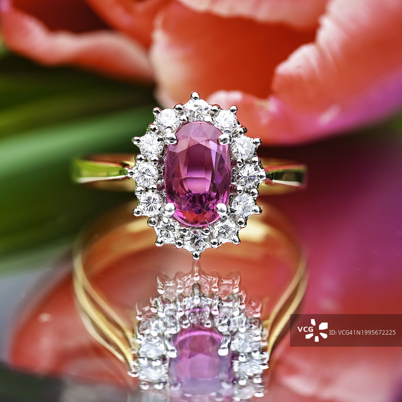 郁金香前的红宝石戒指图片素材