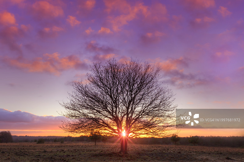 Miggelenberg和Hoenderloo附近Schenkenshul的美丽日落图片素材