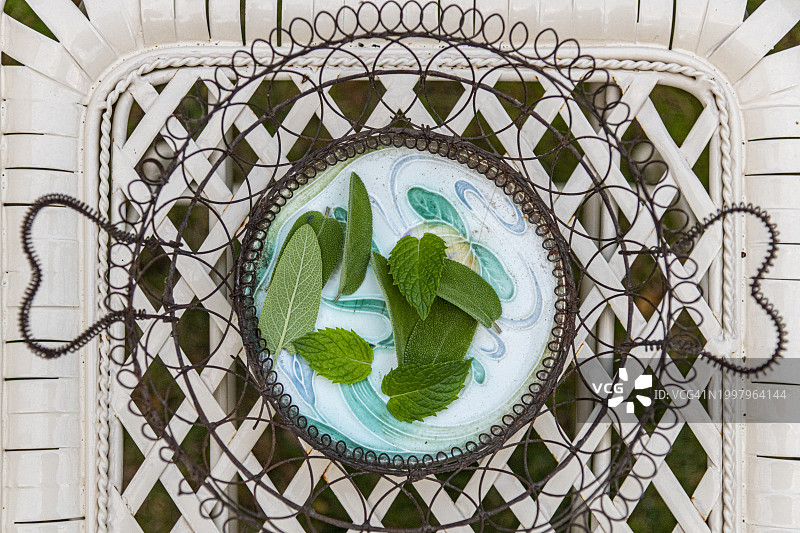 艾米利亚-罗马涅的鼠尾草和薄荷叶图片素材