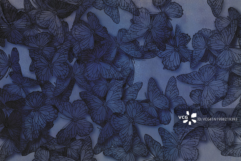 蝴蝶，深蓝色背景图片素材