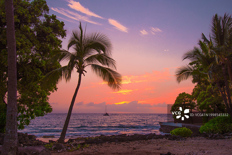 美国夏威夷海滩日落时天空背景下的棕榈树轮廓图片素材
