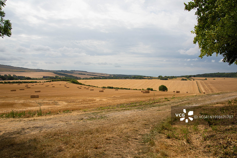 天空衬托下的田野风景图片素材
