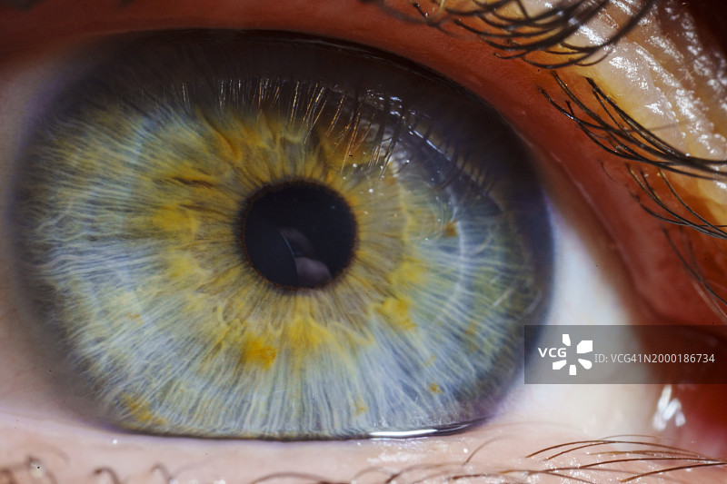 人眼特写图片素材