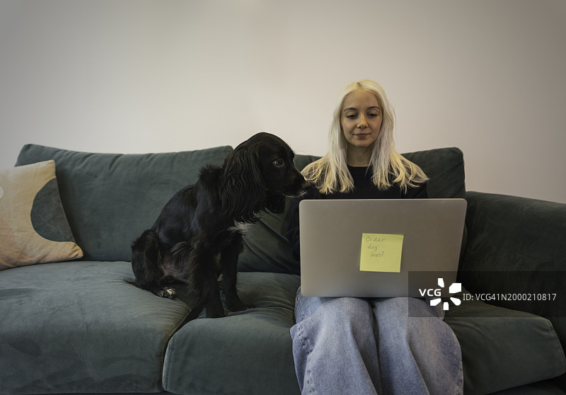 黑色可卡犬坐在主人笔记本电脑旁图片素材