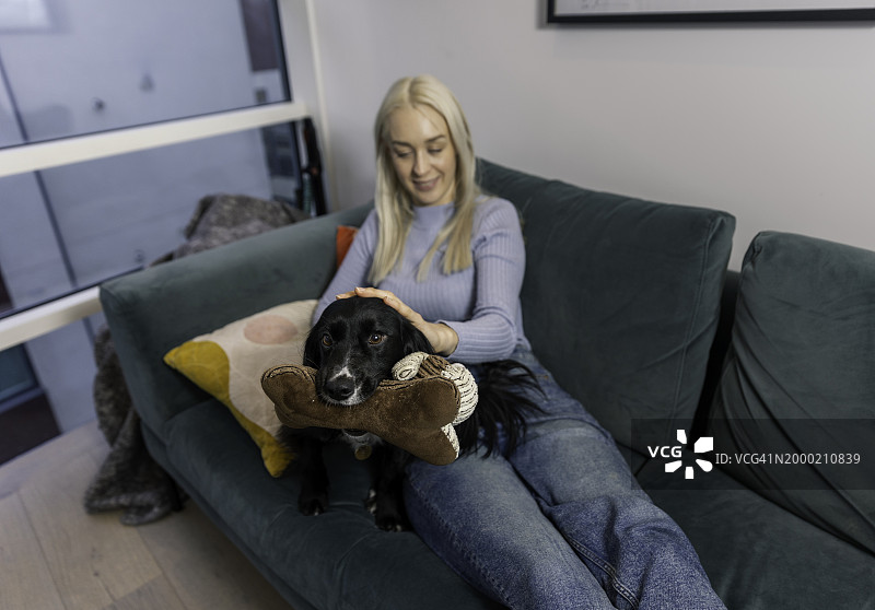 坐在沙发上，带着可爱的可卡犬付款的美丽女人图片素材