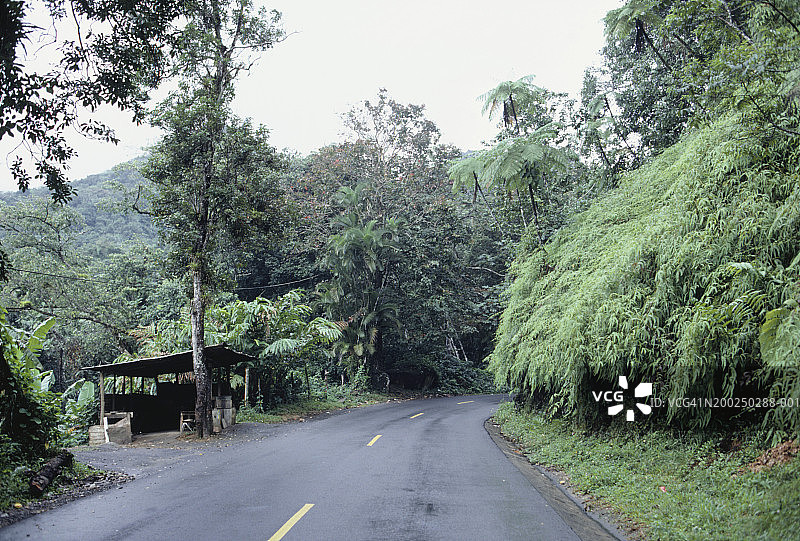 波多黎各云雀雨林公路图片素材