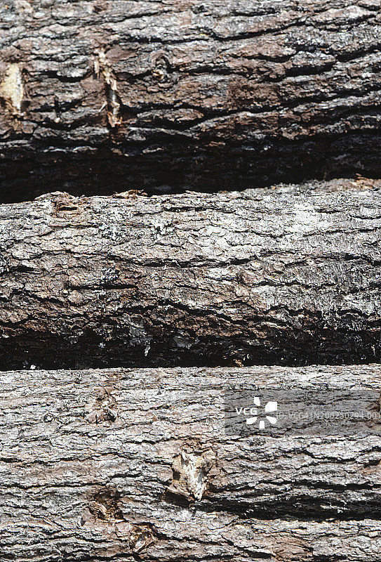 加拿大新斯科舍省的原木（特写）图片素材