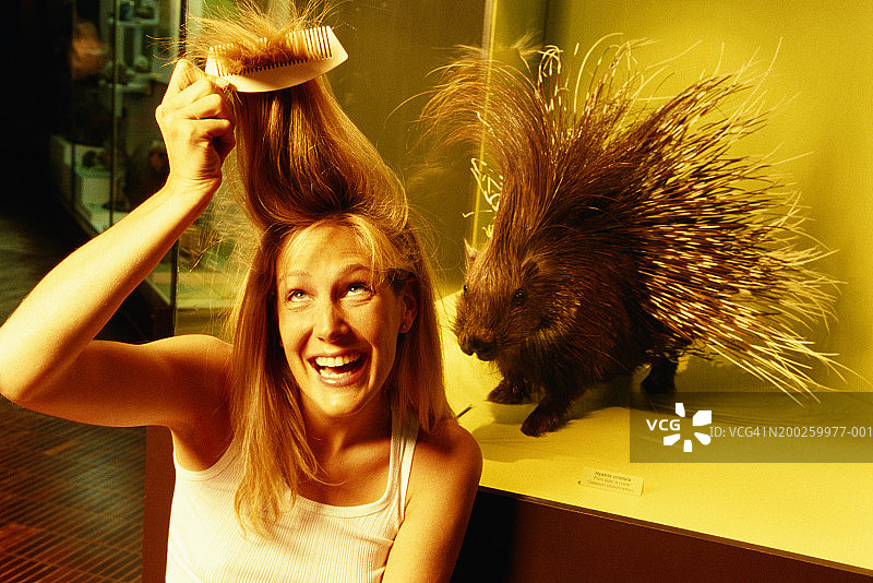 女人梳头，豪猪（北美豪猪）在旁图片素材