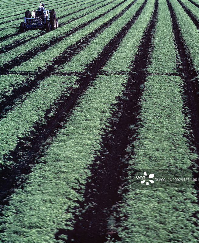 农民和农作物图片素材