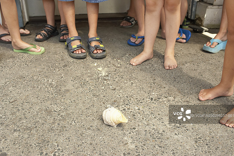 一群儿童（2-12岁）站在水泥地上，低角度拍摄图片素材