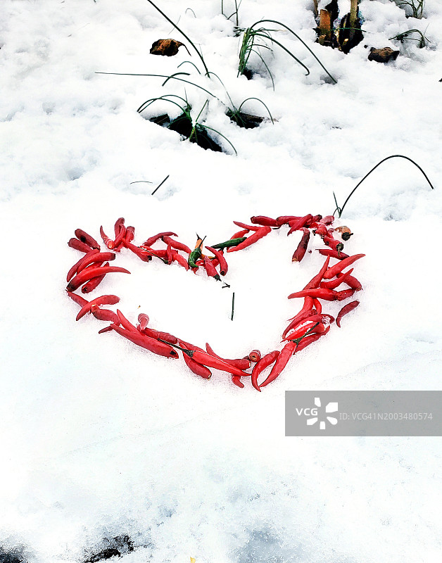 雪地里透视的情人节心形辣椒图片素材