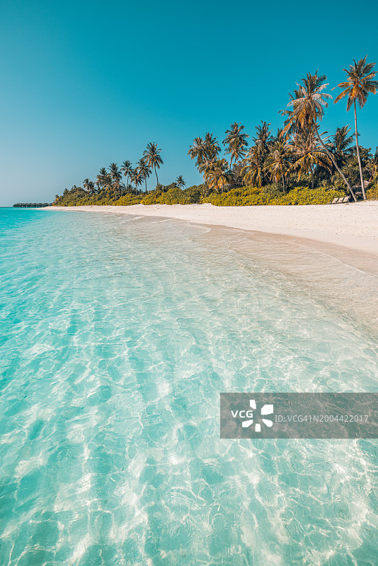 夏季海岛风光banner：蓝色天空、白色沙滩、棕榈树，营造假日旅行的梦幻氛围，可用作壁纸或背景图片素材