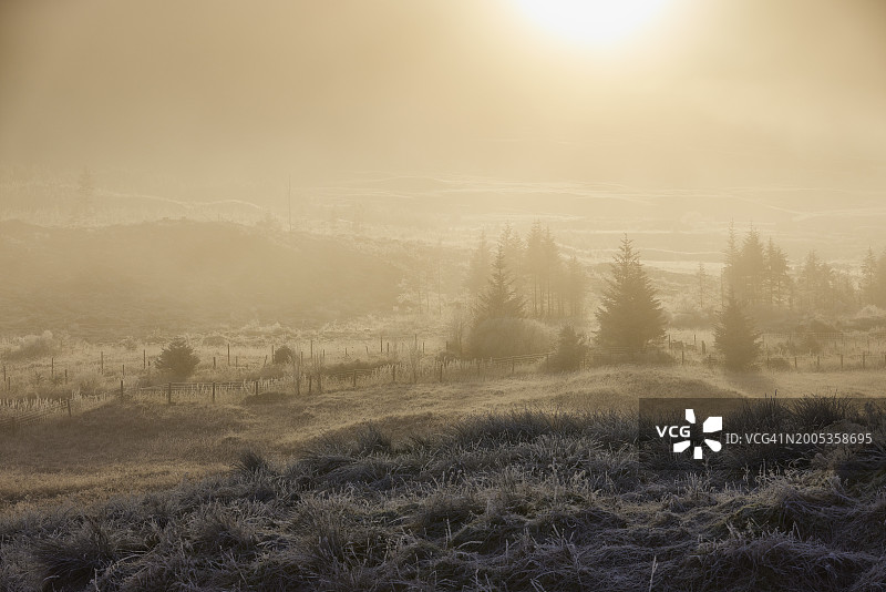 苏格兰冬季迷雾高地图片素材