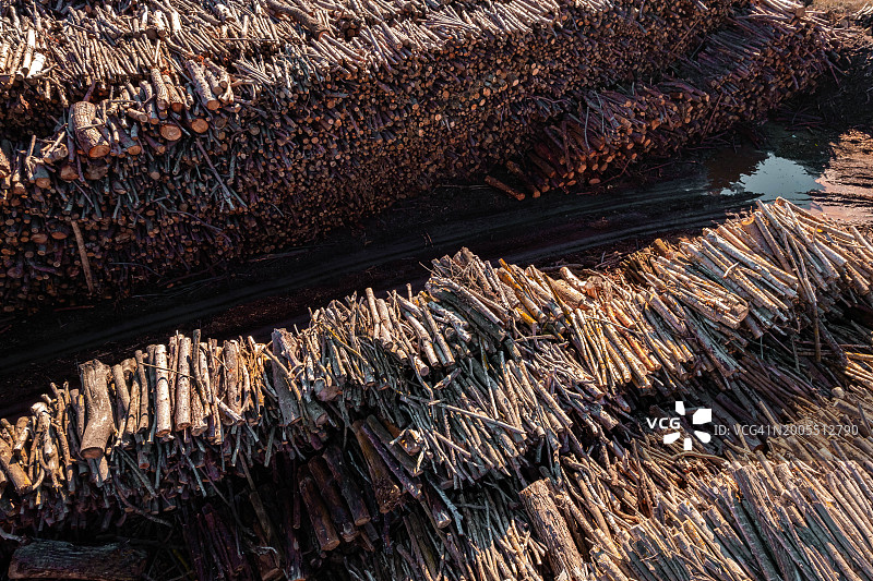 可持续森林砍伐，树木堆积的航拍图图片素材