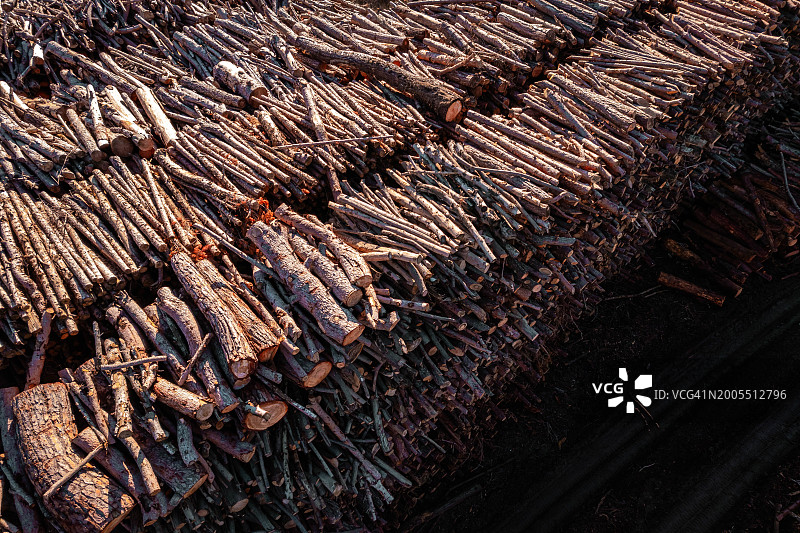 可持续森林砍伐，树木堆积的航拍图图片素材