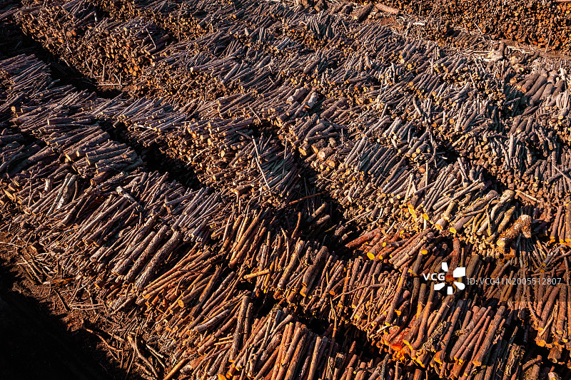 可持续森林砍伐，树木堆积的航拍图图片素材