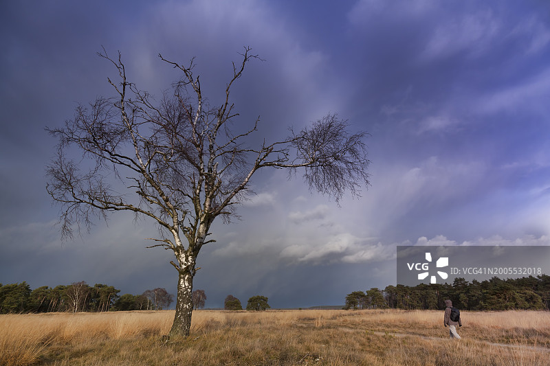女人走在霍格威鲁威国家公园的冰雹中图片素材