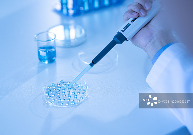 科学家在实验室将样品滴入托盘中进行DNA检测图片素材
