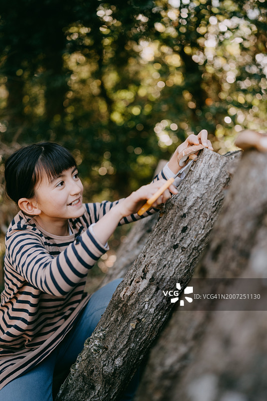 采摘香菇的年轻女孩图片素材