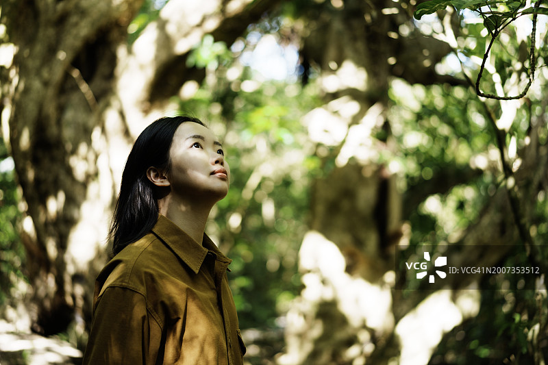 年轻的亚洲女人凝视着森林图片素材