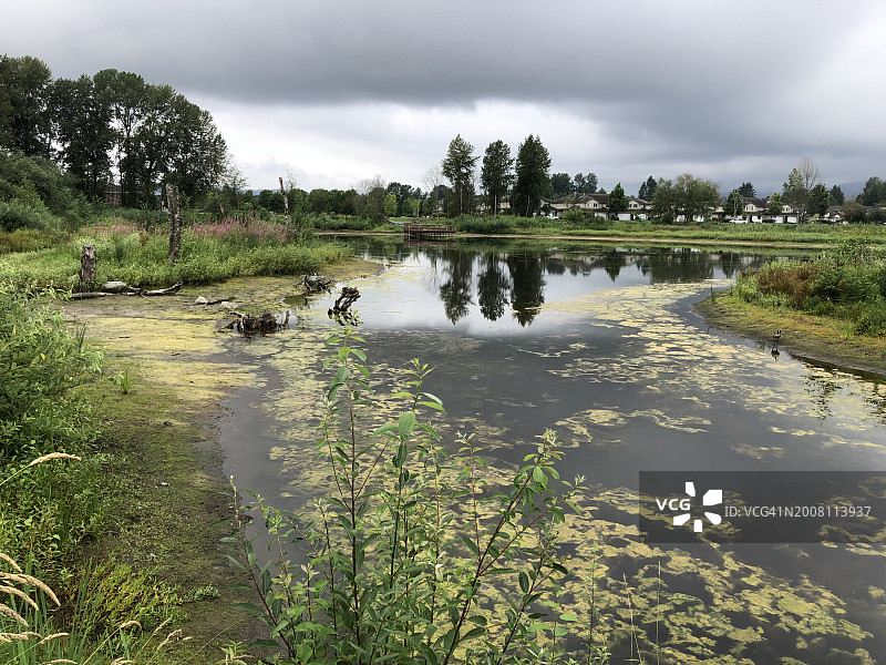 加拿大不列颠哥伦比亚省高贵林港的湖泊风景图片素材