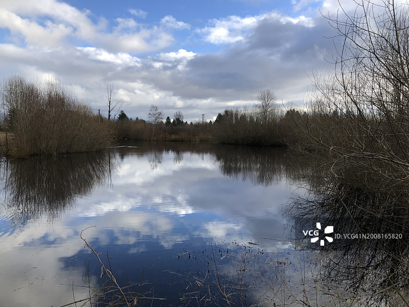加拿大不列颠哥伦比亚省高贵林港的湖泊风景图片素材