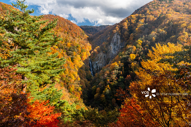 长野志贺高原菅沼瀑布美景图片素材
