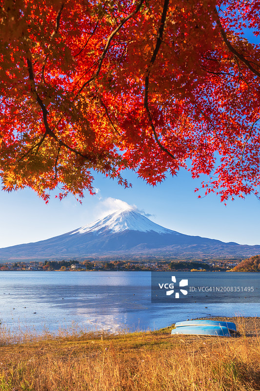 秋季富士山与枫叶的绝美景色图片素材