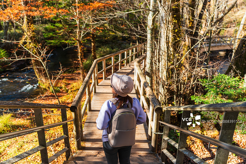 一位女士在秋天的森林小径上漫步图片素材