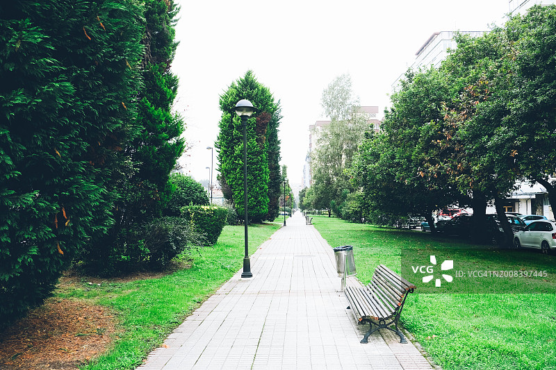 绿树成荫人行道的透视效果图片素材