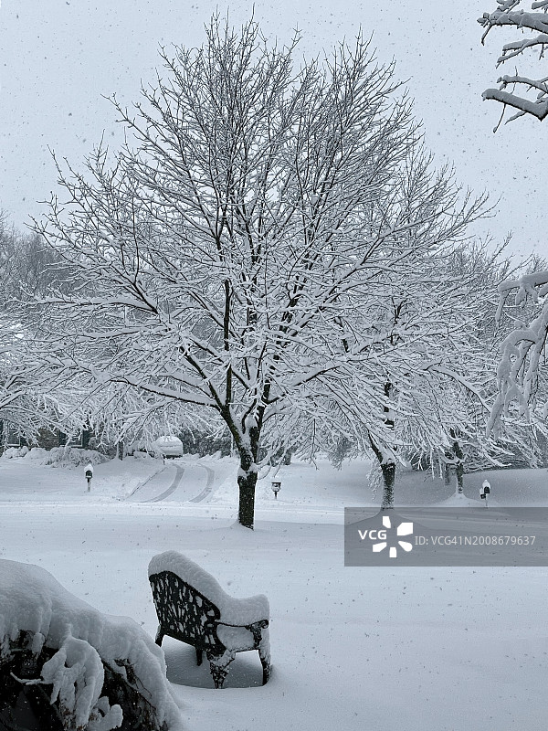 东北风暴雪图片素材